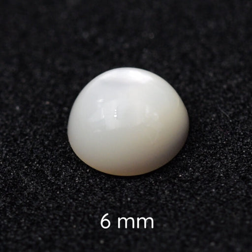 Runder Muschel-Cabochon 6mm (1)